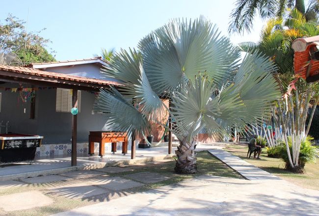 Liminar contra Bradesco Saúde para Clínica de Recuperação em Atibaia – SP | Bairro do Portão