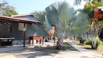 Liminar contra Bradesco Saúde para Clínica de Recuperação em Atibaia – SP | Bairro do Portão